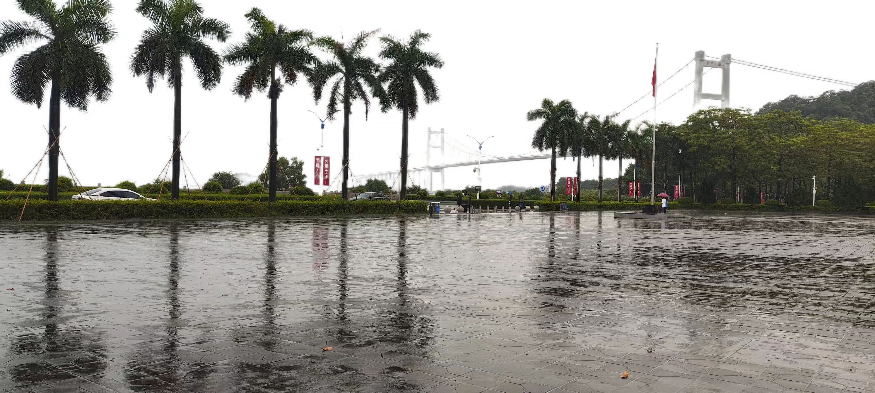 雨中的虎门大桥